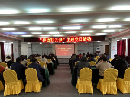 澧水公司江埡電站與湖南水電職院馬克思主義學院開展“樣板聯先鋒”主題黨日活動