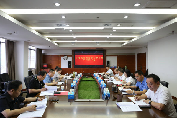 澧水公司黨組理論學習中心組開展主題教育第四次集中學習研討
