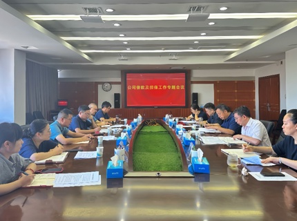 公司召開借款及擔保工作專題會議